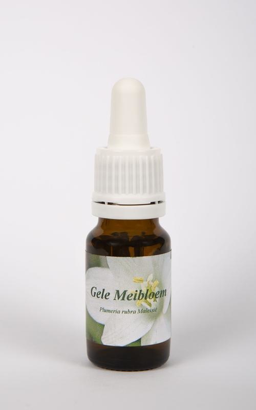 Star Remedies Star Remedies Gele meibloem (10 ml)