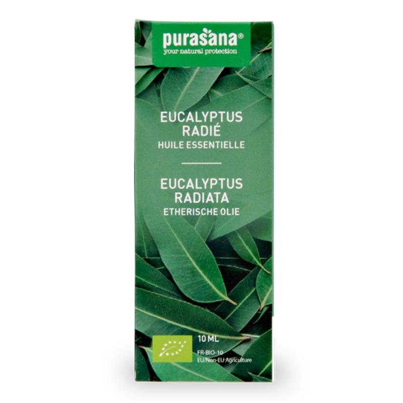 Purasana Purasana Eucalyptus radiata olie/huile bio (10 ml)