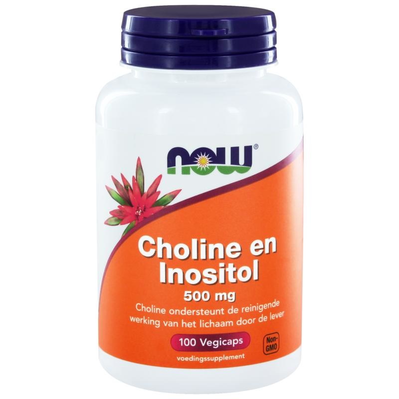 Now NOW Choline en inositol 500 mg (100 vcaps)