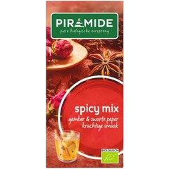 Piramide Spicy thee eko (20 Zakjes)