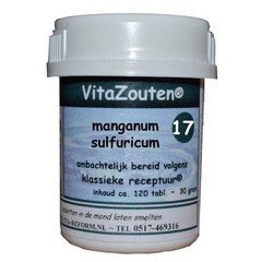 Vitazouten Manganum sulfuricum VitaZout Nr. 17 (120 tab)