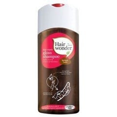 Hair repair gloss shampoo brown hair (200 Milliliter)