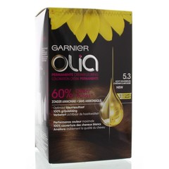 Garnier Olia 5.3 golden brown (1 Set)