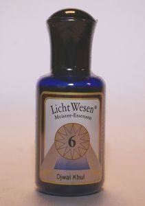 Lichtwesen Lichtwesen Djwal khul olie 6 (30 ml)