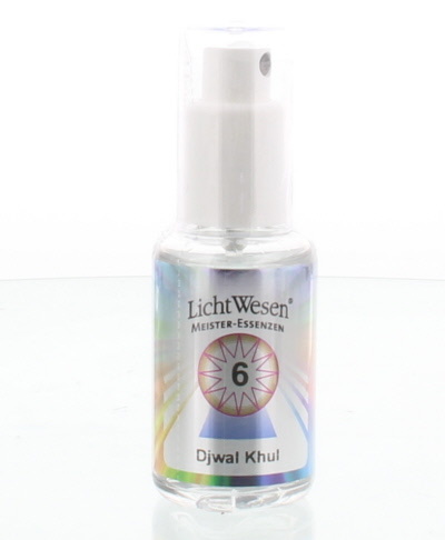 Lichtwesen Lichtwesen Djwal khul tinctuur 6 (30 ml)