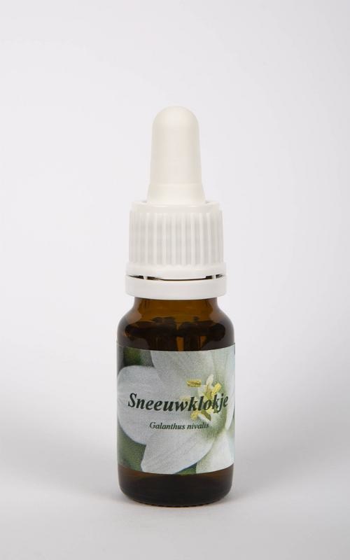 Star Remedies Star Remedies Sneeuwklokje (10 ml)