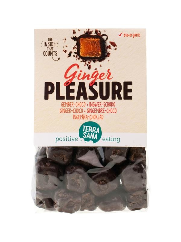 Terrasana Terrasana Ginger pleasure choco bio (150 gr)