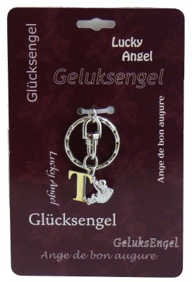 Steengoed Steengoed Geluksengel sleutelhanger T (1 st)