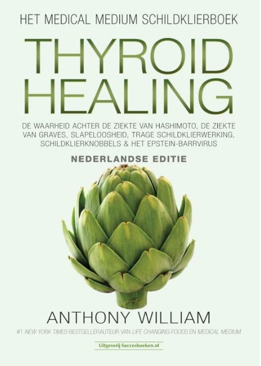 Succesboeken Succesboeken Thyroid healing Nederlands (1 st)