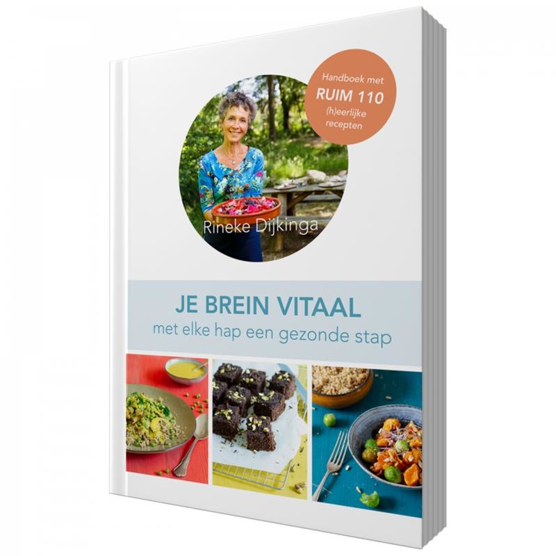 Rineke Books Je brein vitaal (Boek)