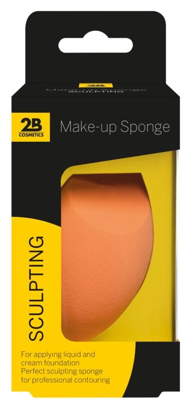 2B 2B Sponges sculpting (1 st)