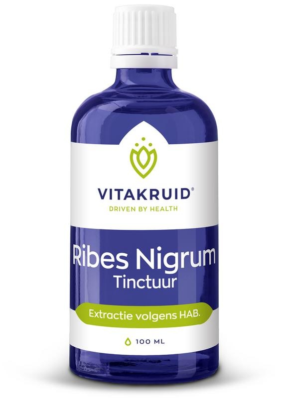Ribes Nigrum Zwarte bes tinctuur 1:10 Ribes Nigrum Zwarte bes tinctuur 1:10