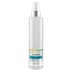 Lichtwesen Energetische reinigingsspray alles in het reine (150 ml)