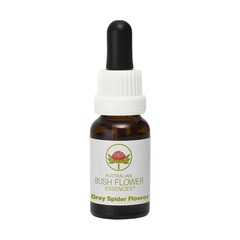 Australian Bush Grey spider flower (15 ml)