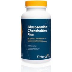 Fittergy Glucosamine chondroitine plus (100 tab)