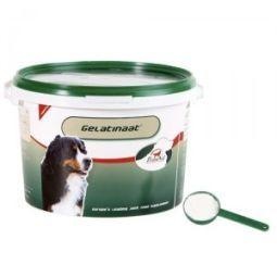 Primeval Primeval Gelatinaat hond (2 Kilogr)