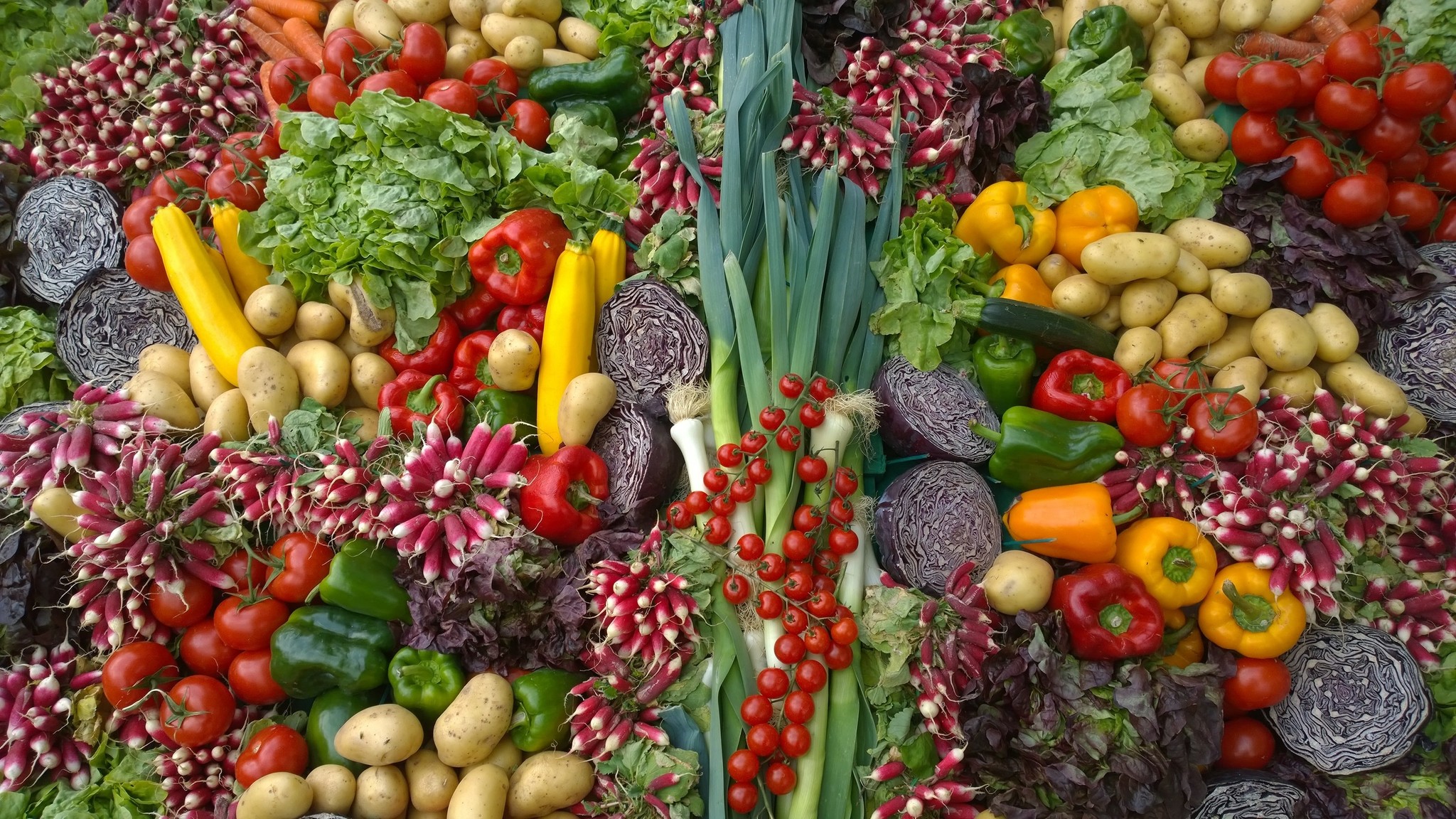 Kleuren uit de natuur - blog Ineke Eebes