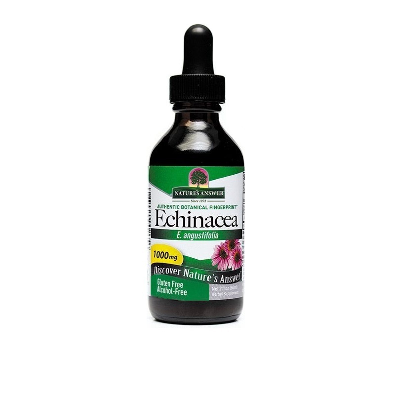 Natures Answer Natures Answer Echinacea extract alcoholvrij (60 ml)