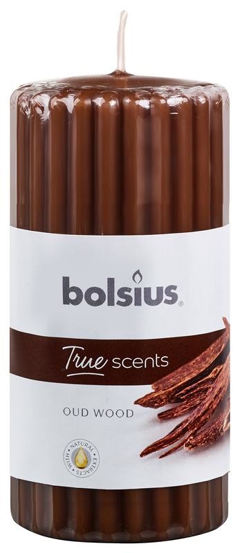 Bolsius Bolsius True Scents stompkaars geur 120/58 old wood (1 st)