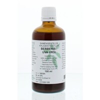 Natura Sanat Natura Sanat Berberis / uva ursi compl tinctuur (100 ml)