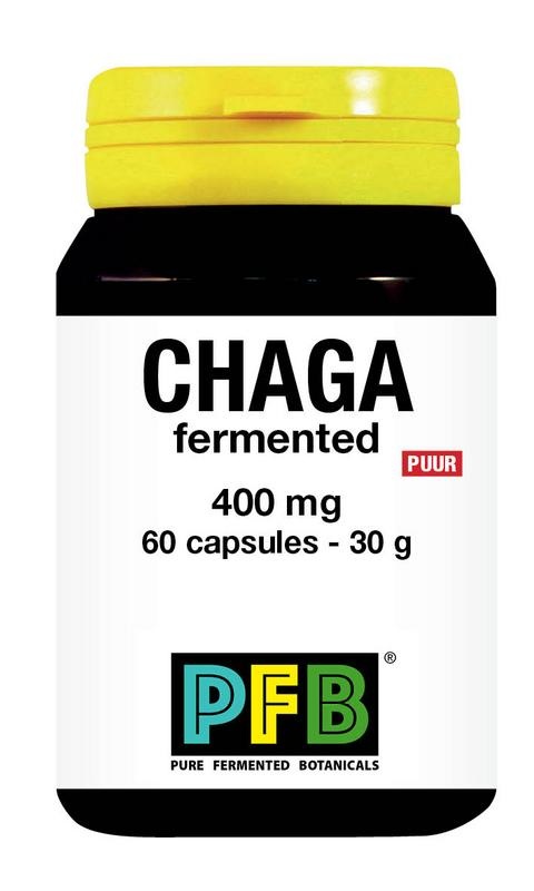 SNP SNP Chaga fermented 400 mg puur (60 vega caps)