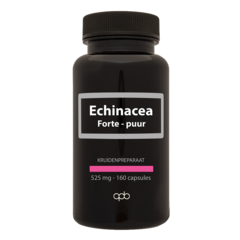 APB Holland Echinacea 525 mg puur (160 caps)