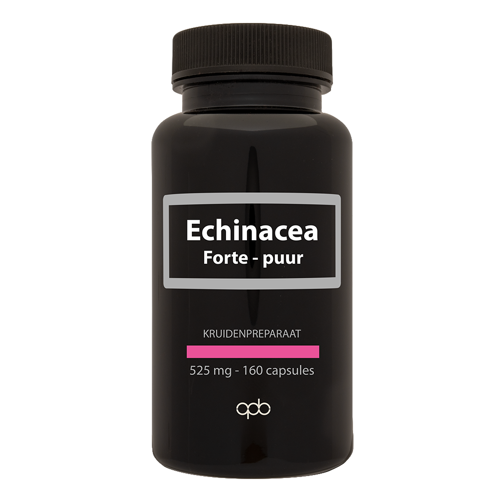 APB Holland Echinacea 525 mg puur (160 caps)