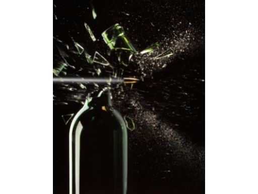 Suiker, evolutionaire bottleneck?  - blog Ineke Eebes
