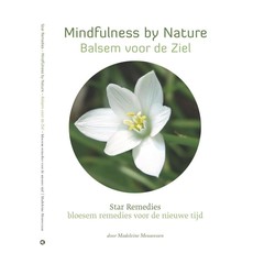 Star Remedies Mindfulness by nature balsem voor de ziel (1 Boek)