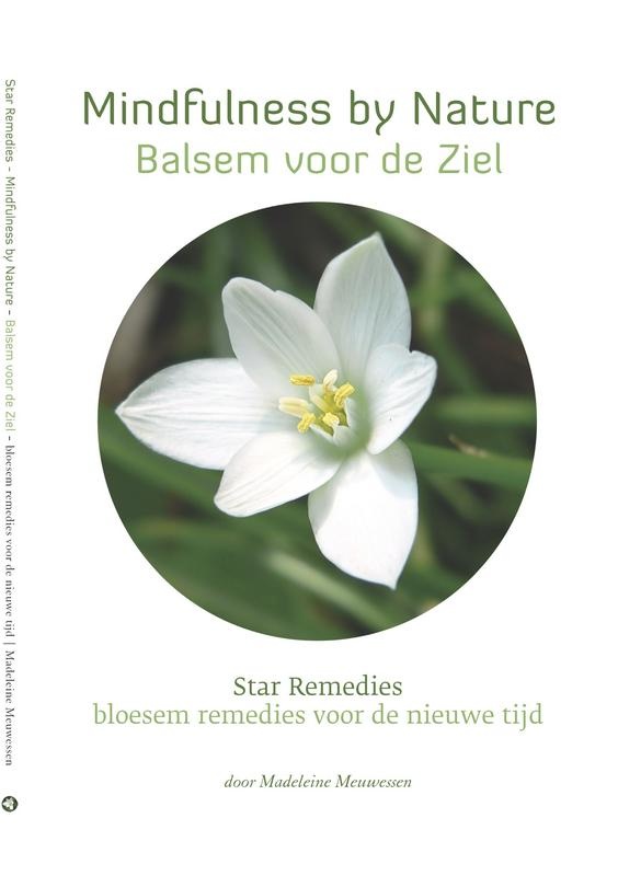 Star Remedies Star Remedies Mindfulness by nature balsem voor de ziel (1 Boek)