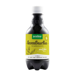 Purasana Kombucha matcha vegan bio (330 ml)