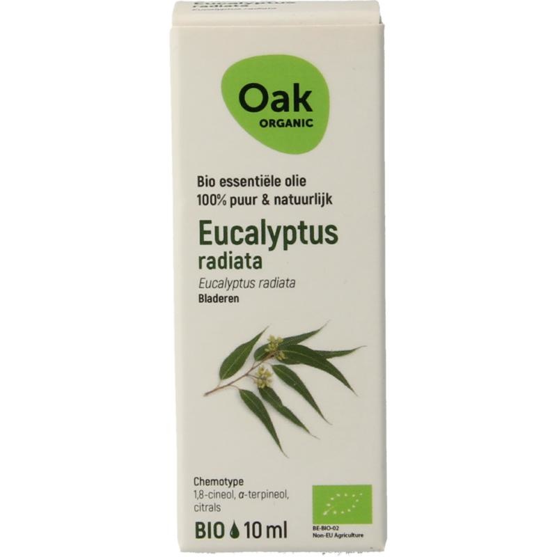 OAK OAK Eucalyptus radiata (10 ml)