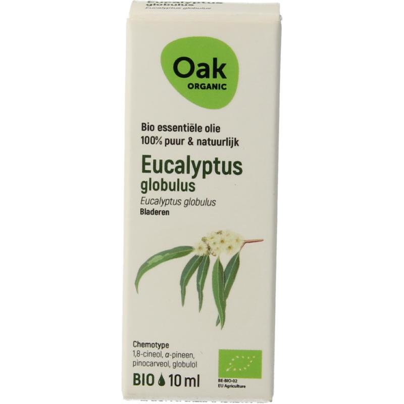 OAK OAK Eucalyptus globulus (10 ml)