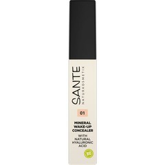 Sante Deco Mineral wake-up concealer 01 neutral ivory (8 ml)