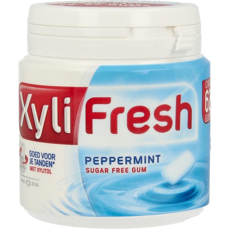 Xylifresh Xylifresh Peppermint (93 gr)