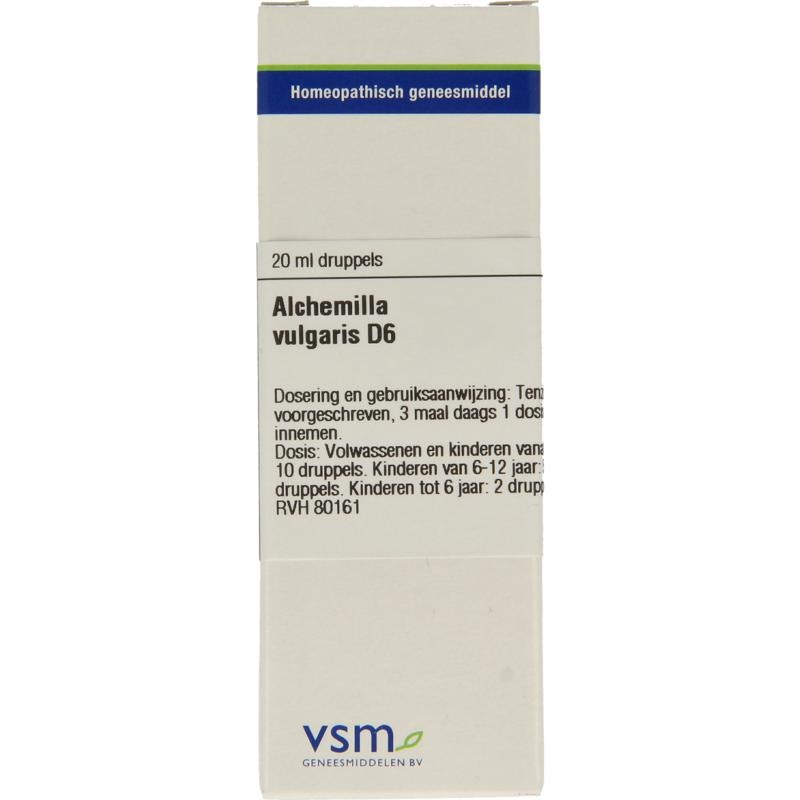 VSM VSM Alchemilla vulgaris D6 (20 ml)