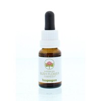 Australian Bush Australian Bush Isopogon (15 ml)