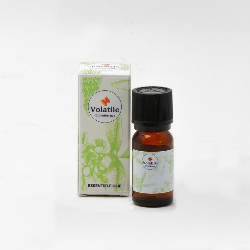 Volatile Volatile Ravintsara bio (5 ml)