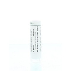 Homeoden Heel Echinacea purpurea D12 (6 gr)