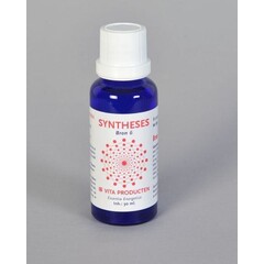 Vita Syntheses bron 6 het ego (30 ml)