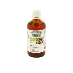 Natura Sanat Zingiber officinalis rhiz/gember tinctuur bio (100 ml)