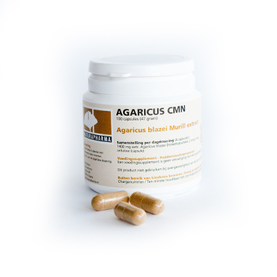 Naturapharma Naturapharma Agaricus CMN (100 vega caps)