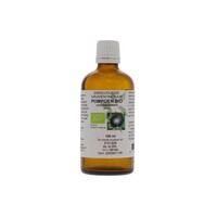 Natura Sanat Natura Sanat Pompoenpit tinctuur bio (100 ml)
