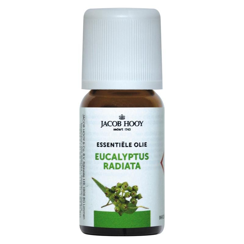 Jacob Hooy Jacob Hooy Eucalyptus radiata olie (10 Milliliter)