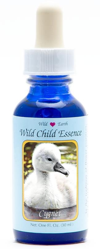 Animal Essences Animal Essences Cygnet (zwaan kuiken) (30 Milliliter)