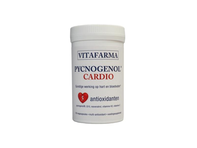 Vitafarma Pycnogenol cardio (120 vega caps) Vitafarma Pycnogenol cardio (120 vega caps)