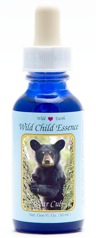 Animal Essences Animal Essences Bear cub (berenwelp) (30 Milliliter)