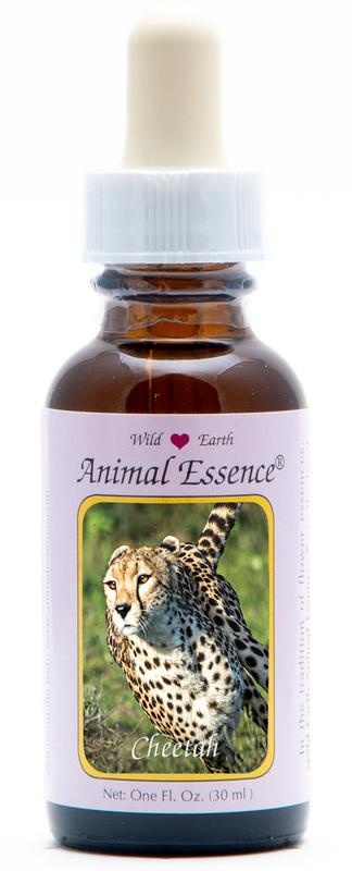 Animal Essences Animal Essences Cheetah (jachtluipaard) (30 Milliliter)