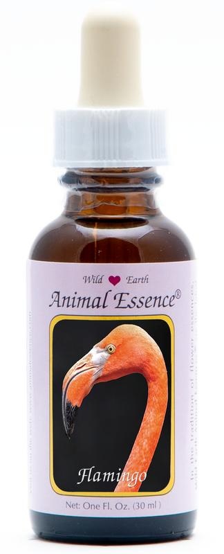 Animal Essences Animal Essences Flamingo (30 Milliliter)