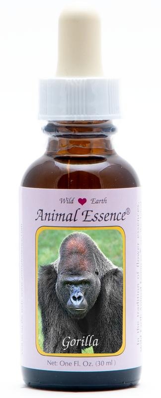 Animal Essences Animal Essences Gorilla (30 Milliliter)